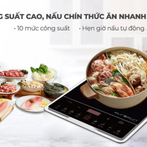 Bếp từ Eurosun EU-T185S