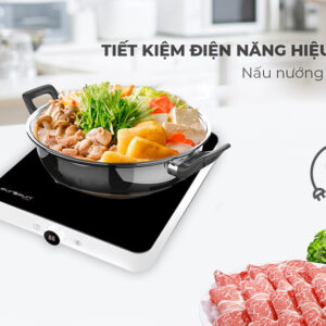 Bếp từ Eurosun EU-T197