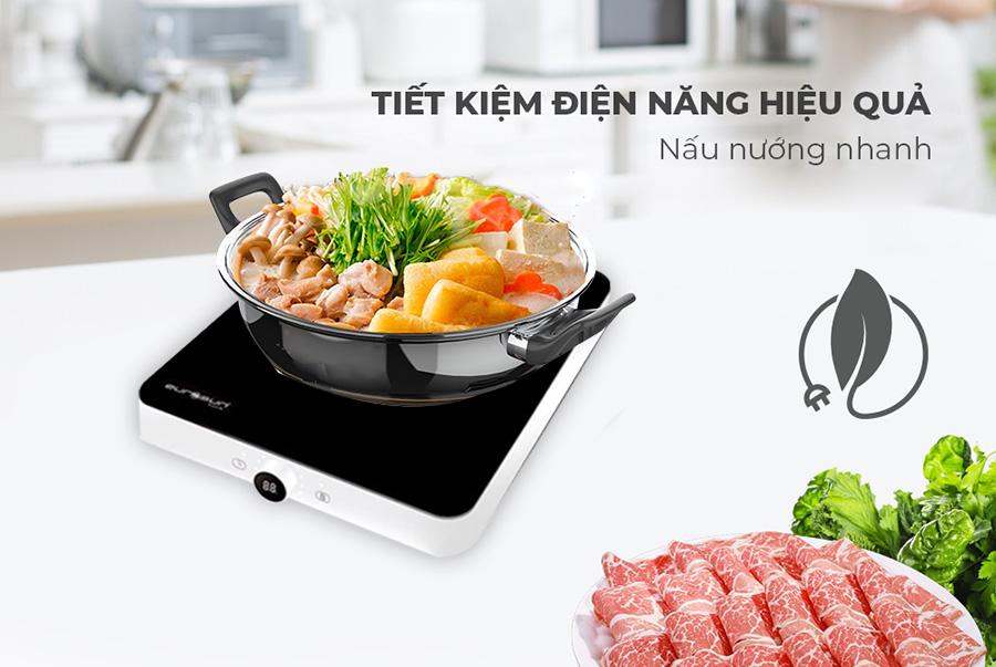 Bếp từ Eurosun EU-T197