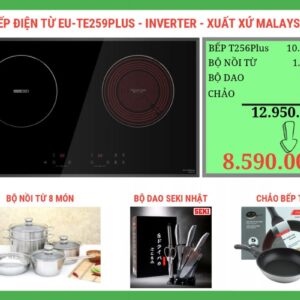 Bếp điện từ Eurosun EU-TE259Plus