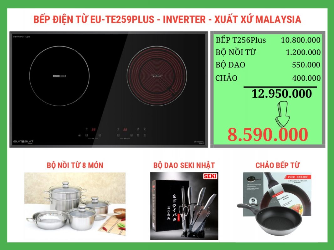 Bếp điện từ Eurosun EU-TE259Plus