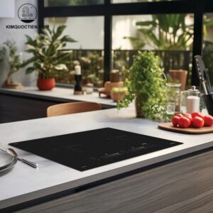 Bếp từ lắp âm 2 vùng nấu Hafele HC-I73244B (536.61.717)