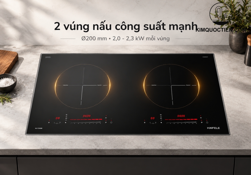 Bếp từ lắp âm 2 vùng nấu Hafele HC-I73243B