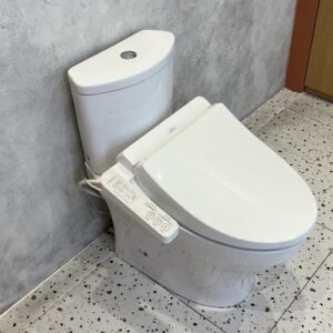 Bồn cầu 2 khối TOTO CS838DW18 nắp rửa điện tử WASHLET C2 cơ bản TCF23710AAA