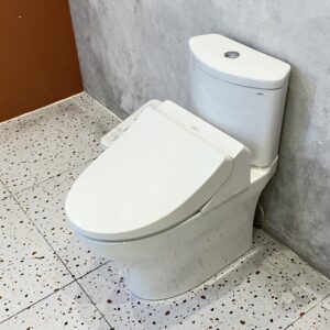 Bồn cầu 2 khối TOTO CS838DW18 nắp rửa điện tử WASHLET C2 cơ bản TCF23710AAA