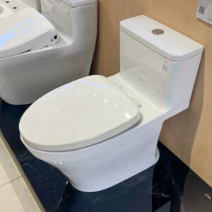 Bồn cầu 1 khối TOTO MS857DT3 nắp đóng êm TC385VS