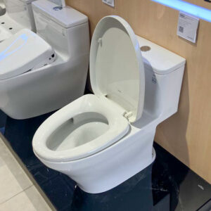 Bồn cầu 1 khối TOTO MS857DT3 nắp đóng êm TC385VS