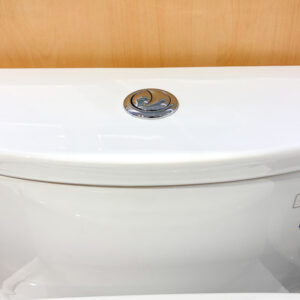 Bồn cầu 1 khối TOTO MS885CDW26 nắp rửa điện tử WASHLET S1 TCF23661GAA giấu dây