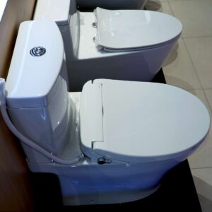 Bồn cầu 2 khối TOTO CS769DRT2 nắp đóng êm TC393VS