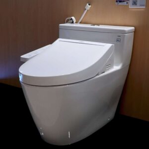 Bồn cầu 1 khối TOTO MS625DW16 nắp rửa điện tử WASHLET C2 TCF23410AAA