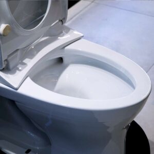 Bồn cầu 1 khối TOTO MS855DE2 nắp rửa cơ ECOWASHER TCW07S